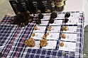 VBS_1272 - Fiera Nazionale del Tartufo e dei Santi 2022